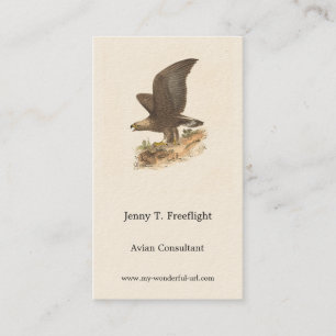 Carte De Visite Aigle d'or (Aquila chrysaetos) NY Bird Image