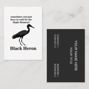Carte De Visite Aigrette Héron Noir Oiseaux Faune