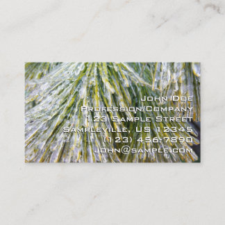 Carte De Visite Aiguilles de pin recouvert de glace Botanique hive
