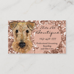 CARTE DE VISITE AIRDALE TERRIER