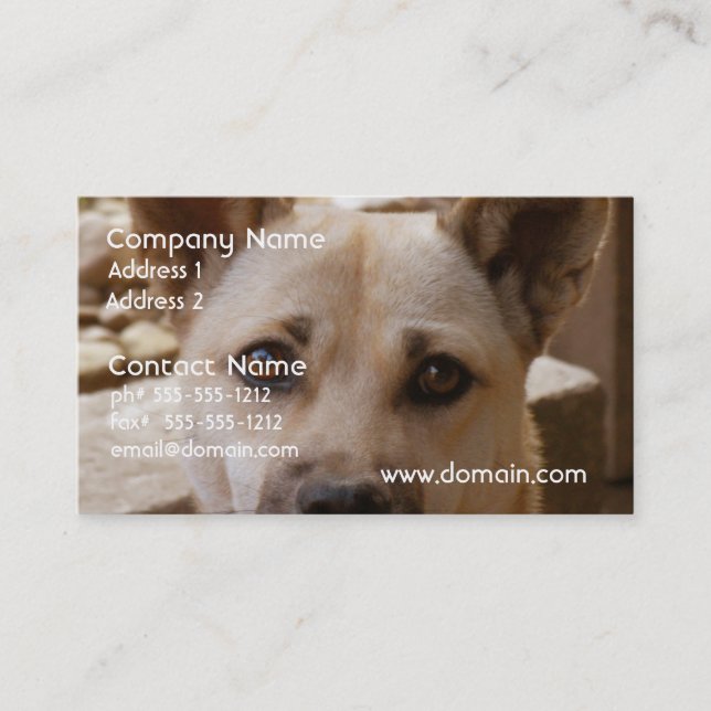 Carte De Visite Akita doux (Devant)