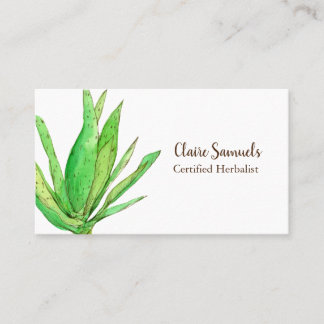 Carte De Visite Aloe Vera Herb Plante