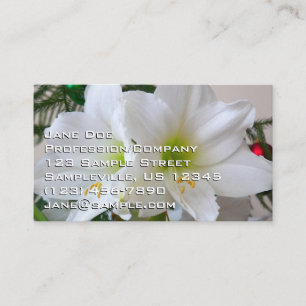 Carte De Visite Amaryllis blanche et sapin de Noël