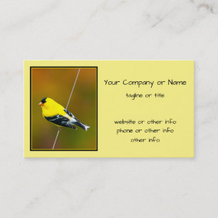 Carte De Visite American Goldfinch - Photo originale