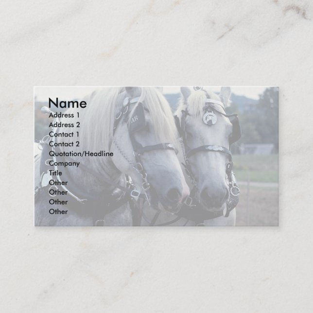 Carte De Visite Amis, équipe de cheval (Devant)