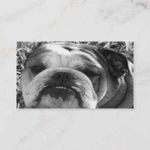 Carte De Visite amour de bouledogue