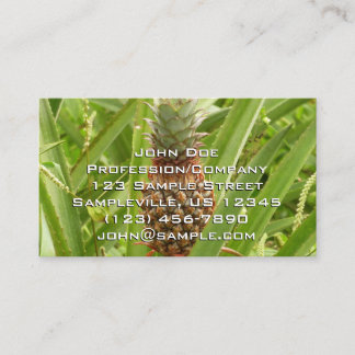 Carte De Visite Ananas sauvage Fruit tropical dans la nature