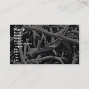 Carte De Visite Andouillers d'élans, carré central, Jackson,