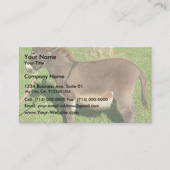 Carte De Visite Âne avec la ceinture dans le cou (Devant)