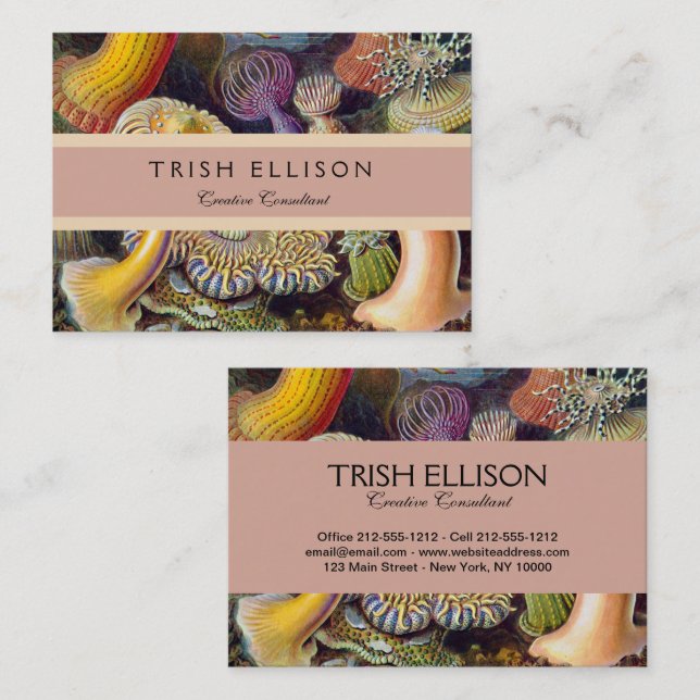 Carte De Visite Anémone de mer Nature scientifique Océan (Devant / Derrière)