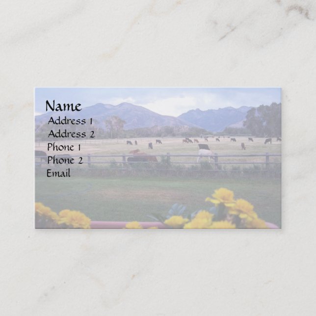 Carte De Visite Angus On Pasture (Devant)