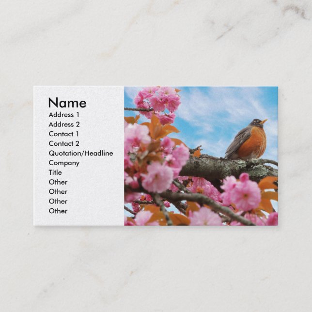 Carte De Visite Animal - Bird - First robin of spring (Devant)