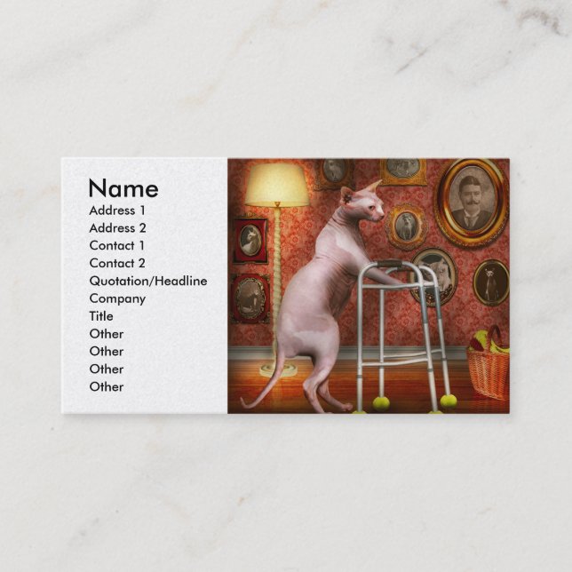 Carte De Visite Animal - Chat - Maison de retraite pour chats (Devant)