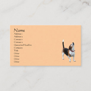 Carte de visite animal chien Beagle Howling
