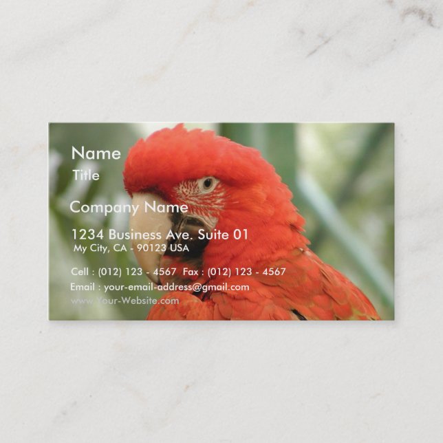 Carte De Visite Animal de perroquet (Devant)