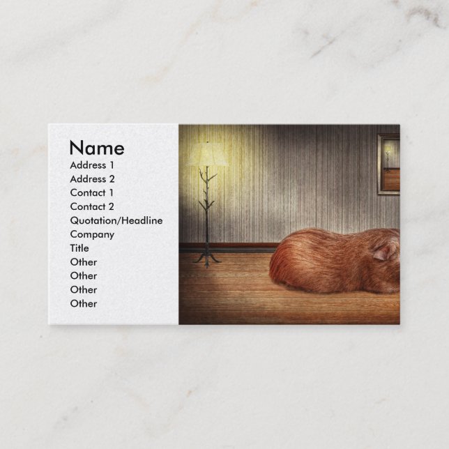 Carte De Visite Animal - Le cochon d'Inde (Devant)