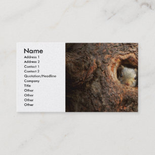 Carte De Visite Animal - Squirl - I'm not shy I'm an introvert