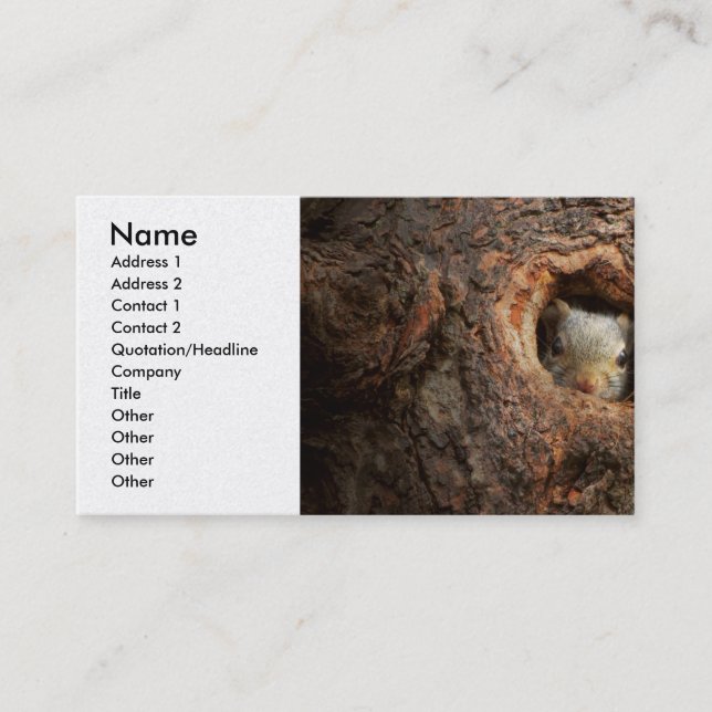 Carte De Visite Animal - Squirl - I'm not shy I'm an introvert (Devant)
