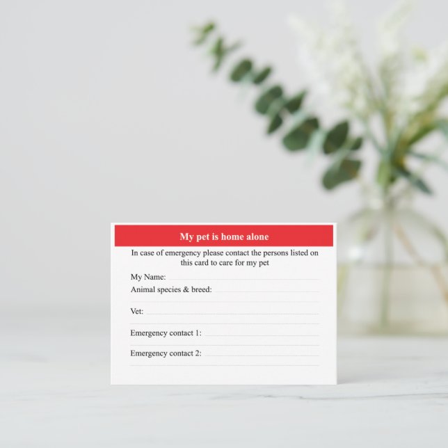 Carte De Visite Animaux domestiques seuls (Debout devant)