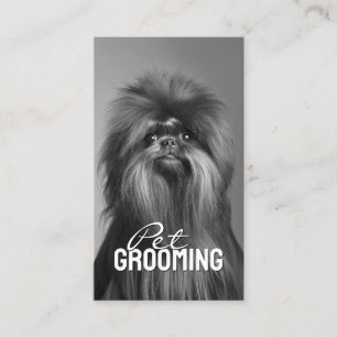 Carte De Visite Animaux Grooming Salon Affenpinscher Portrait