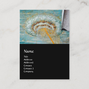 Carte De Visite Annunciation ,Saint Emidius and an OVNI