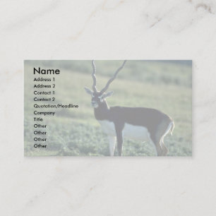 Carte De Visite Antilope de Blackbuck