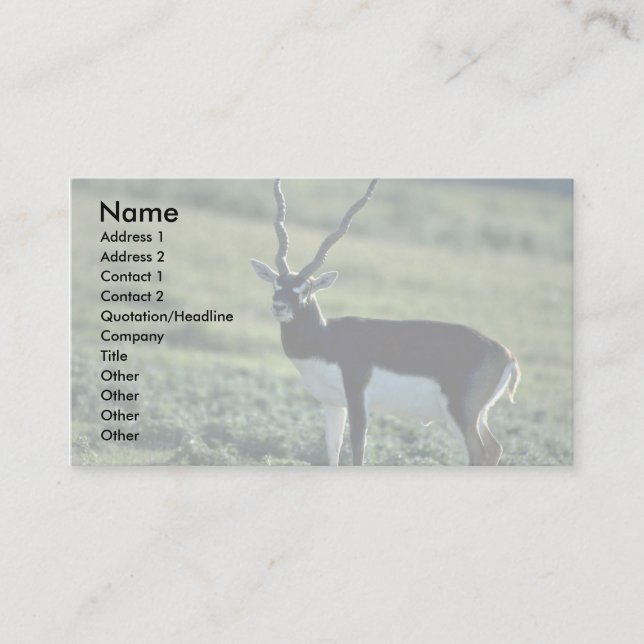 Carte De Visite Antilope de Blackbuck (Devant)