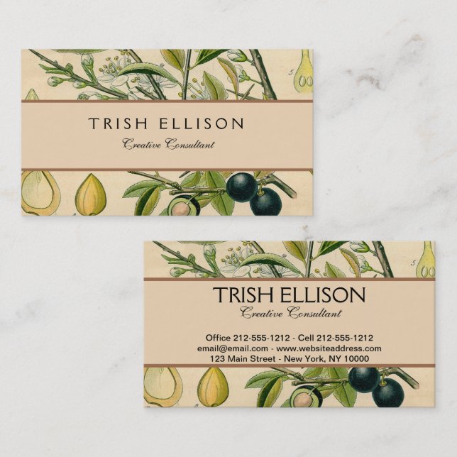 Carte De Visite Antique Blackthorn Botanique Imprimé Fleur Berry (Devant / Derrière)