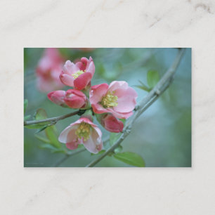 Carte De Visite Apple Blossom #P0356 Mini impression