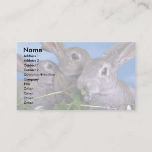 Carte De Visite Apricot et Rex bleu