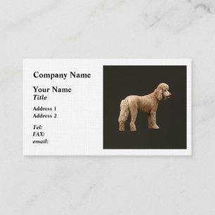 Carte De Visite Apricot Poodle