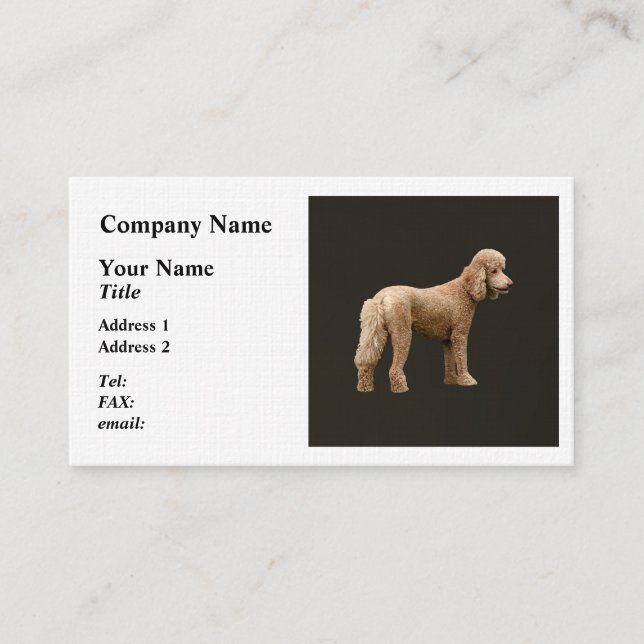 Carte De Visite Apricot Poodle (Devant)