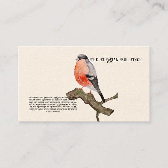 Carte De Visite Aquarelle design forêt oiseau taufinch (Devant)