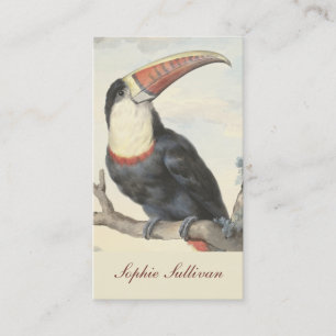 Carte De Visite Aquarelle Vintage américaine du Toucan