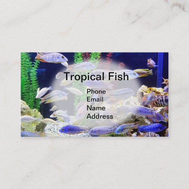 Carte De Visite Aquarium avec de beaux poissons tropicaux (Devant)