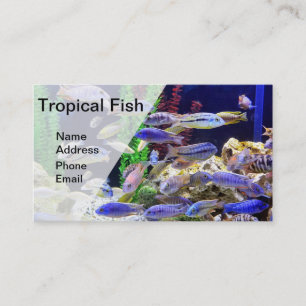Carte De Visite Aquarium avec de beaux poissons tropicaux colorés