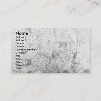 Carte De Visite Araignée