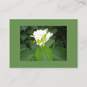 Carte De Visite Arbre à sucettes de miel