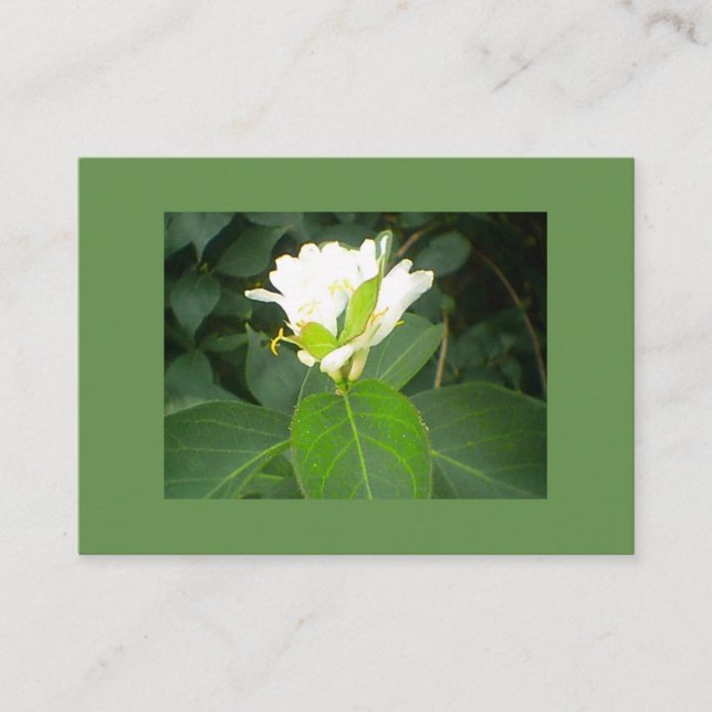 Carte De Visite Arbre à sucettes de miel (Devant)