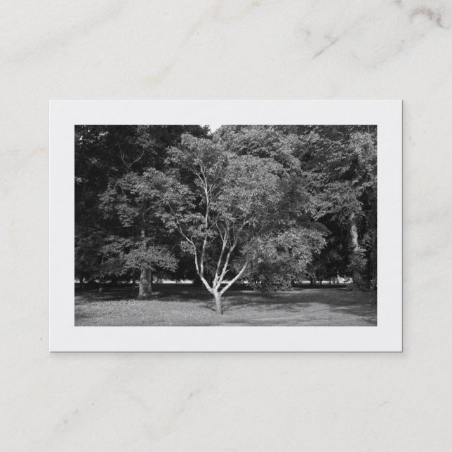 Carte De Visite Arbre de Magnolia BW (bordé) (Devant)