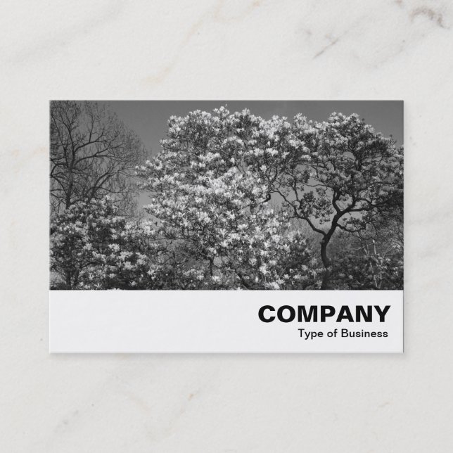 Carte De Visite Arbre de Magnolia en Blossom (B&W) (Devant)