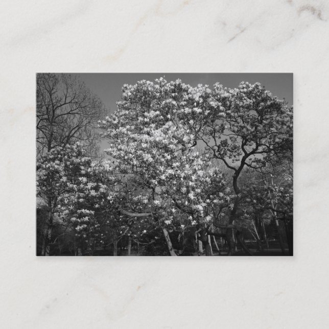 Carte De Visite Arbre de Magnolia en Fleur (B&W) (Devant)
