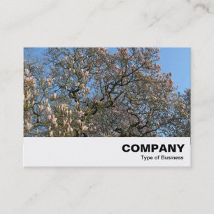 Carte De Visite Arbre de Magnolia en fleurs