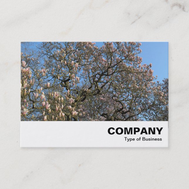 Carte De Visite Arbre de Magnolia en fleurs (Devant)