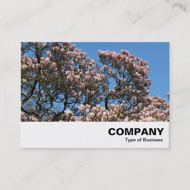 Carte De Visite Arbre de Magnolia en fleurs (Devant)