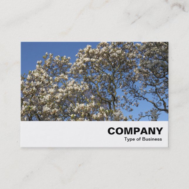Carte De Visite Arbre de Magnolia en fleurs (Devant)