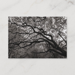 Carte De Visite Arbre de Magnolia en fleurs 01