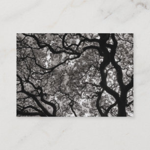 Carte De Visite Arbre de Magnolia en fleurs 02