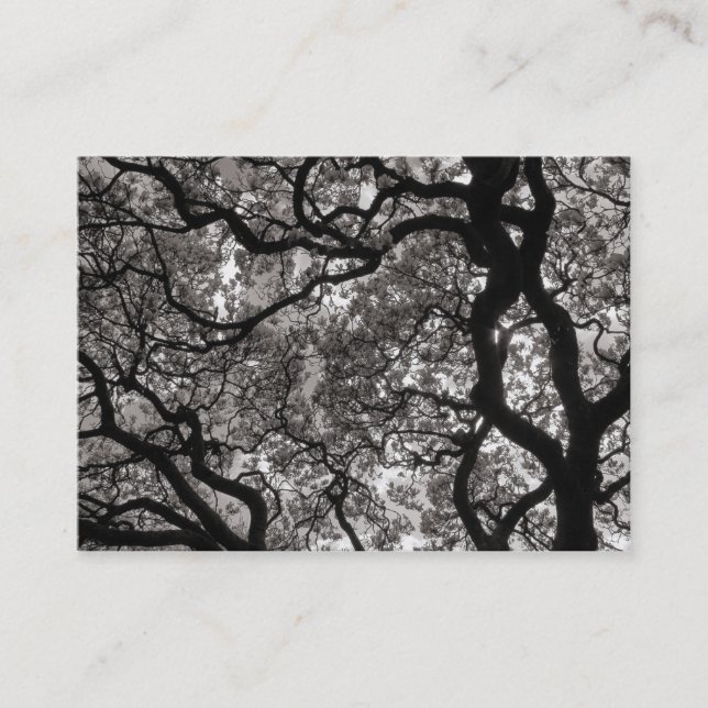 Carte De Visite Arbre de Magnolia en fleurs 02 (Devant)