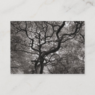 Carte De Visite Arbre de Magnolia en fleurs 03